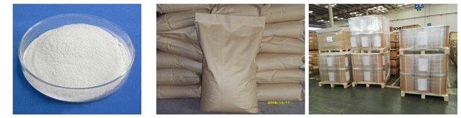 Dicalcium Phosphate Dihydrate,DCP,7789-77-7,Calcium Hydrogen Phosphate