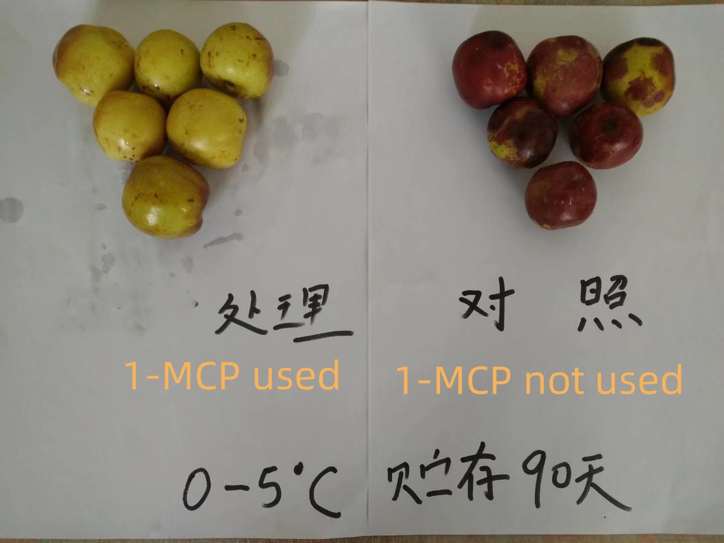 1-Methylcyclopropene,1-MCP,3100-04-7