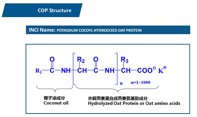 Potassium Cocoyl Hydrolyzed Oat Protein,301341-58-2