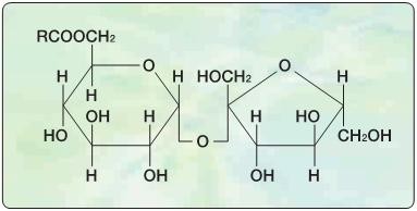 Sucrose Fatty Acid Esters